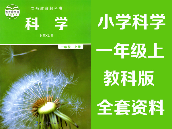 教科版一年級上冊科學教案+課件+習題+試題+計劃等資源