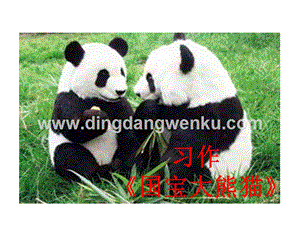 部編人教版小學(xué)語(yǔ)文三年級(jí)下冊(cè)習(xí)作：國(guó)寶大熊貓課件