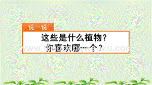 部編人教版小學語文三年級下冊 習作：我的植物朋友 課件 (2)