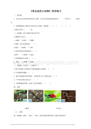 粵教版科學(xué)三年級(jí)上冊(cè)1.4草地里的小動(dòng)物（同步練習(xí)