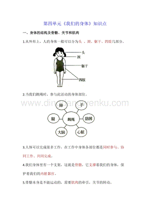 教科版四年級上冊科學第四單元我們的身體知識點