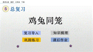 西師大版六年級(jí)下冊(cè)數(shù)學(xué)總復(fù)習(xí)1.20 雞兔同籠 ppt課件.pptx