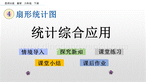 西師大版六年級(jí)下冊(cè)第四單元4.4 統(tǒng)計(jì)綜合應(yīng)用 ppt課件.pptx