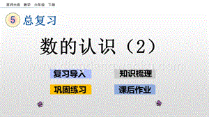 西師大版六年級下冊數學總復習1.2 數的認識（2） ppt課件.pptx