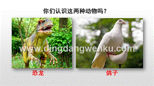 人教版部編版四年級下冊語文 6 飛向藍天的恐龍 ppt課件.pptx