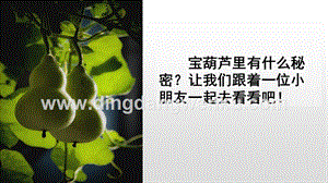 人教版部編版四年級下冊語文 25 寶葫蘆的秘密（節選） ppt課件.pptx