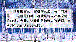 人教版部編版四年級下冊語文 11 白樺 ppt課件.pptx