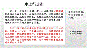 人教版部編版四年級下冊語文 范文1：水上行走鞋 ppt課件.pptx