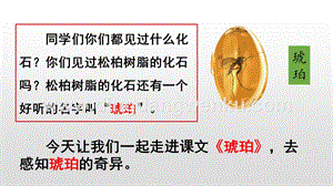 人教版部編版四年級下冊語文5琥珀ppt課件.pptx