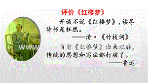 人教部編版五年級下冊語文 8 紅樓春趣 精品ppt課件.pptx