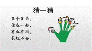 人教部編版五年級(jí)下冊(cè)語(yǔ)文 22 手指 精品ppt課件.pptx