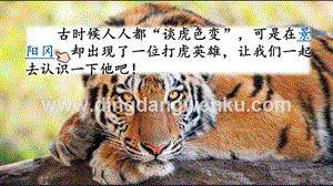 人教部編版五年級下冊語文 6 景陽岡 精品ppt課件.pptx
