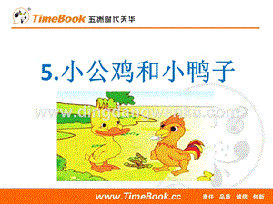 人教部編版（五四制）一年級下冊語文 5小公雞和小鴨子 ppt課件.ppt
