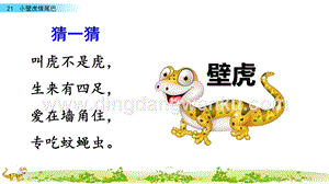 人教部編版（五四制）一年級下冊語文 21 小壁虎借尾巴 ppt課件.pptx