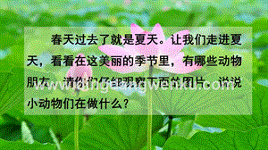 人教部編版（五四制）一年級下冊語文 識字5 動物兒歌 ppt課件.pptx