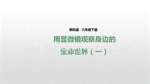 教科版六年級下冊科學第一單元第五課《用顯微鏡觀察身邊的生命世界（一）》（課件）.pptx