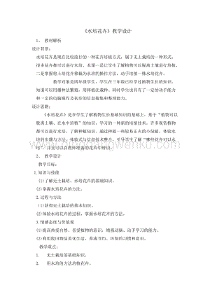五年級綜合實踐活動教案-水培花卉 教學設(shè)計（全國通用）.doc