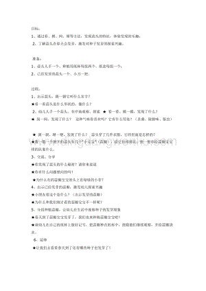 幼兒園中班科學教學：蒜頭發芽了（科學）教案