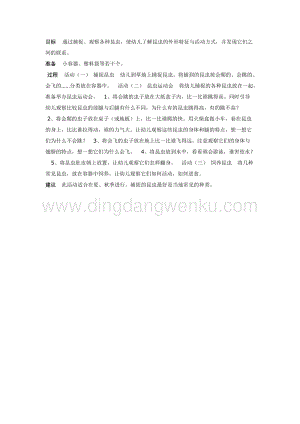 幼兒園中班科學教學：中班科學：昆蟲運動會教案