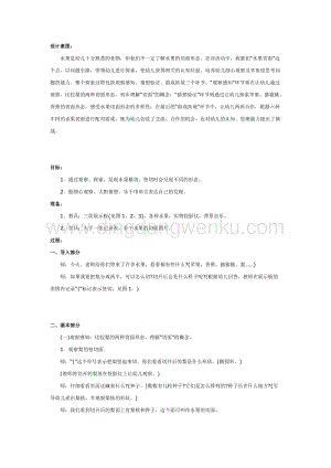 幼兒園中班科學教學：中班科學活動：切開后的水果教案