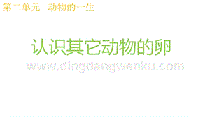 2020版教科版三年級下冊科學2.2認識其它動物的卵教學課件.pptx