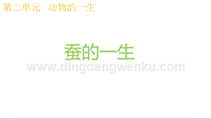 2020版教科版三年級下冊科學2.6蠶的一生 教學課件.pptx