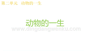 2020版教科版三年級下冊科學(xué)2.8動物的一生 教學(xué)課件.pptx