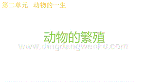 2020版教科版三年級下冊科學2.7動物的繁殖 教學課件.pptx