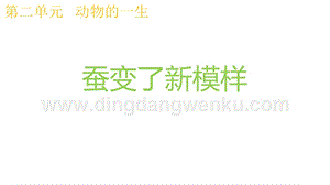 2020版教科版三年級下冊科學(xué)2.4蠶變了新模樣 教學(xué)課件.pptx