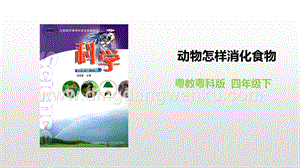 粵教版四年級下冊科學 《動物怎樣消化食物》 PPT課件.pptx