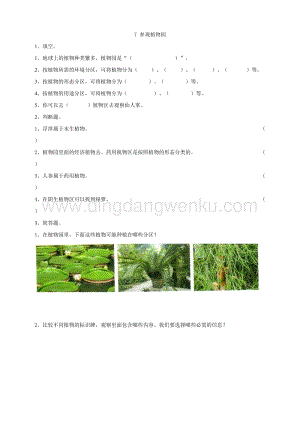 粵教版四年級(jí)下冊科學(xué)參觀植物園練習(xí).doc