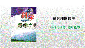 粵教版四年級下冊科學1.5葡萄和爬墻虎PPT課件.pptx