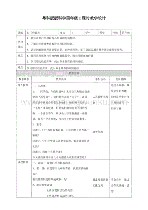 粵教版四年級下冊科學 《白蘭和銀杏》教案.doc