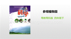 粵教版四年級下冊科學 參觀植物園 PPT課件.pptx