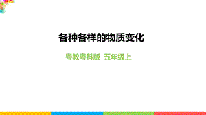 2020新粵教粵科版版五年級(jí)上冊(cè)科學(xué)3.16《各種各樣的物質(zhì)變化》教學(xué)課件.pptx