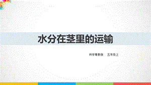 2020新粵教版五年級上冊科學1.4《水分在莖里的運輸》ppt課件（含教案）.ppt