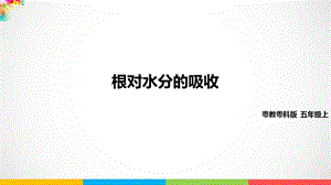 2020新粵教版五年級上冊科學根對水分的吸收ppt課件（含教案+練習）.pptx