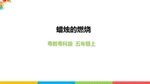 2020新粵教粵科版版五年級上冊科學3.12蠟燭的燃燒教學課件.pptx