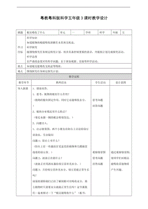 2020新粵教粵科版版五年級上冊科學1.3《根還吸收了什么》教案.doc