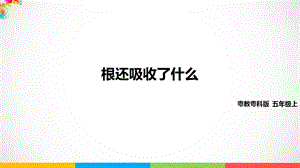 2020新粵教粵科版版五年級上冊科學1.3《根還吸收了什么》教學課件.pptx