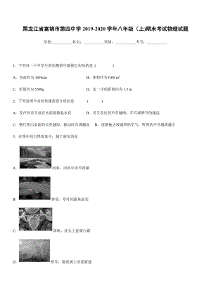 2019-2020學(xué)年八年級(jí)（上)黑龍江省富錦市第四中學(xué)期末考試物理試題.docx