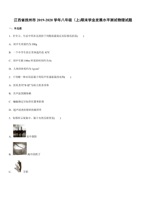 2019-2020學(xué)年八年級(jí)（上)江西省撫州市期末學(xué)業(yè)發(fā)展水平測(cè)試物理試題.docx