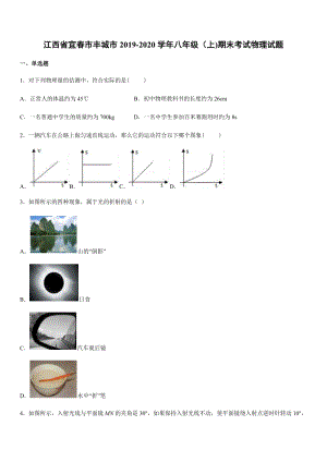 2019-2020學年八年級（上)江西省宜春市豐城市期末考試物理試題.docx