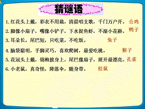 部編版一年級上冊語文6 比尾巴-陸老師-甘肅省省級優秀課件.ppt
