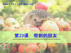 部編版三年級上冊語文23《帶刺的朋友2》公開課課件（廣東萬老師部級優課）.pptx