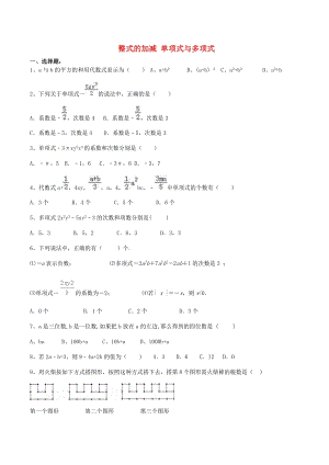 人教版七年級數(shù)學(xué)上冊整式的加減單項式與多項式課后練習(xí).doc