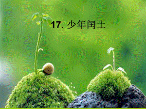 人教部編版版六年級上冊語文《少年閏土》公開課課件（青海吳老師省級優(yōu)課）.ppt