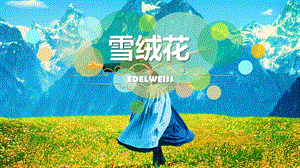 人音版八年級上冊音樂2.1《雪絨花》公開課課件（陜西岳老師省優(yōu)）.pptx