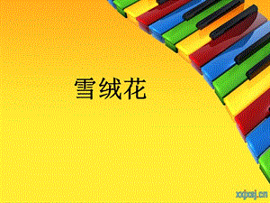人音版八年級上冊音樂2.1《雪絨花》公開課課件（河北楊老師省優(yōu)）.ppt