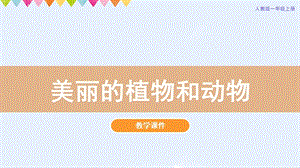 人教版一年級上冊美術(shù)第20課《美麗的植物和動物》教學課件.pptx